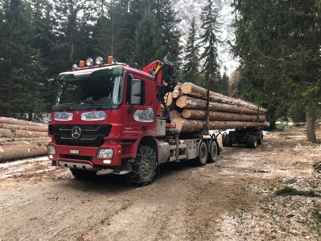 Transport Pastor Philippe - Transport de bois sur route